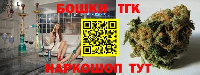 гашик Бийск