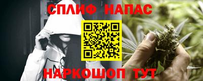 гашик Бийск