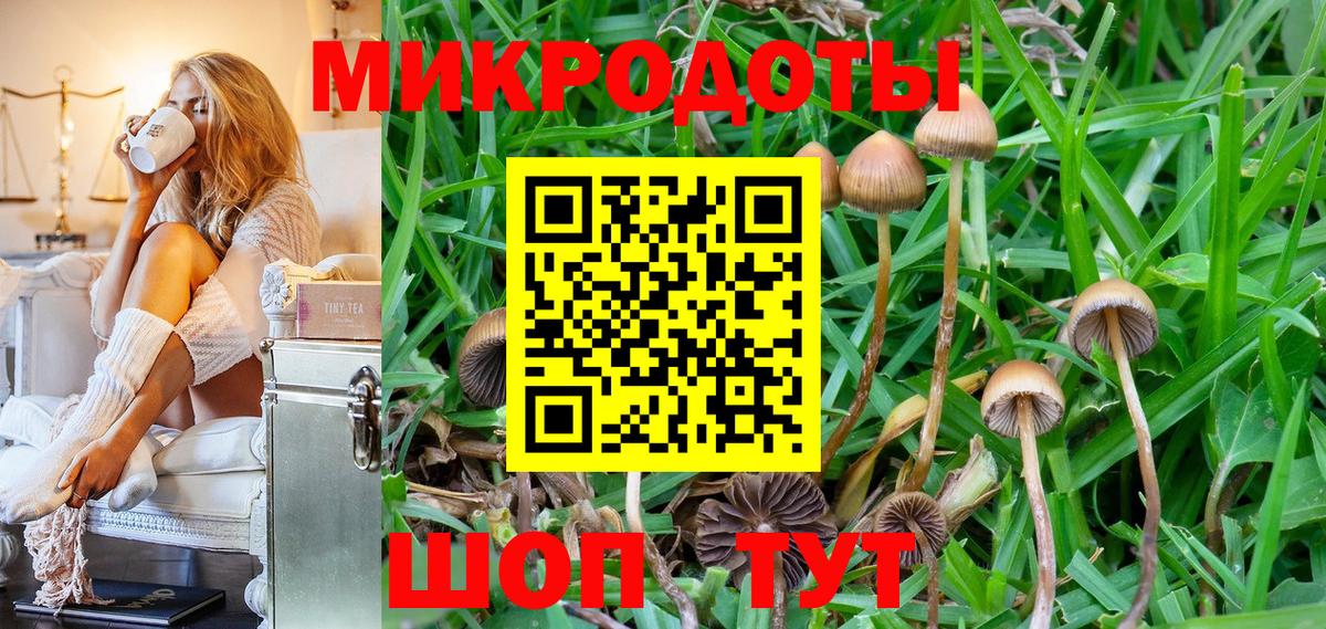 Галлюциногенные грибы мицелий  где купить   Ковров  Вход с VPN 